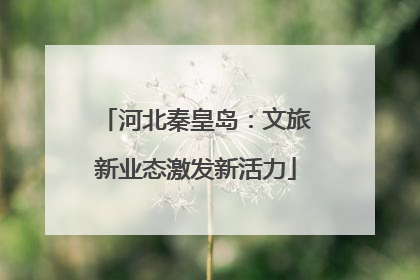 河北秦皇岛：文旅新业态激发新活力
