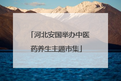 河北安国举办中医药养生主题市集