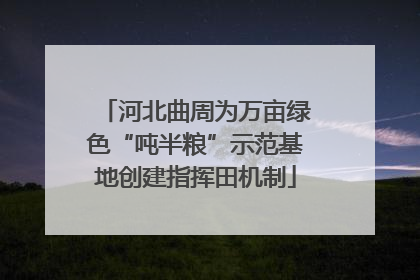 河北曲周为万亩绿色“吨半粮”示范基地创建指挥田机制