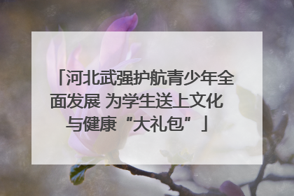 河北武强护航青少年全面发展 为学生送上文化与健康“大礼包”