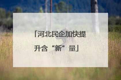 河北民企加快提升含“新”量