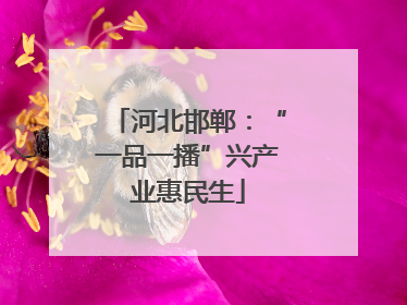 河北邯郸：“一品一播”兴产业惠民生