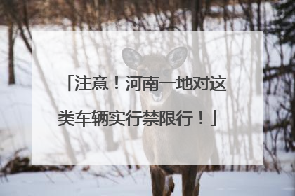 注意！河南一地对这类车辆实行禁限行！