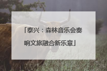 泰兴：森林音乐会奏响文旅融合新乐章