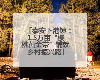 泰安下港镇：1.5万亩“樱桃黄金带”铺就乡村振兴路