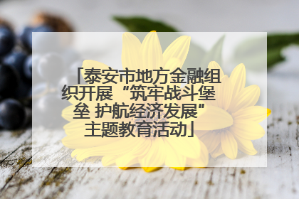 泰安市地方金融组织开展“筑牢战斗堡垒 护航经济发展”主题教育活动