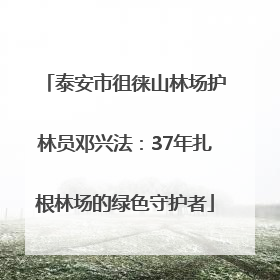 泰安市徂徕山林场护林员邓兴法：37年扎根林场的绿色守护者