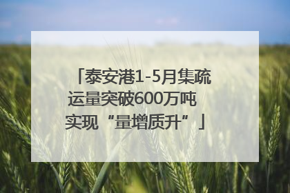 泰安港1-5月集疏运量突破600万吨 实现“量增质升”