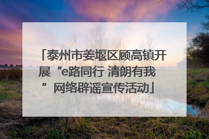 泰州市姜堰区顾高镇开展“e路同行 清朗有我”网络辟谣宣传活动