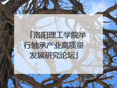 洛阳理工学院举行轴承产业高质量发展研究论坛
