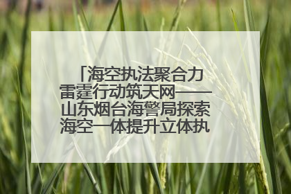 海空执法聚合力 雷霆行动筑天网——山东烟台海警局探索海空一体提升立体执法效能纪实