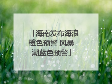 海南发布海浪橙色预警 风暴潮蓝色预警