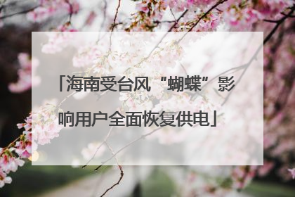 海南受台风“蝴蝶”影响用户全面恢复供电