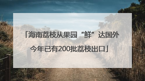 海南荔枝从果园“鲜”达国外 今年已有200批荔枝出口
