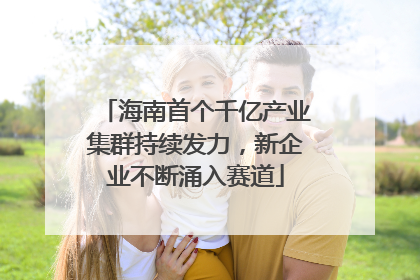 海南首个千亿产业集群持续发力，新企业不断涌入赛道