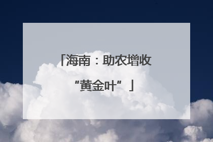 海南：助农增收 “黄金叶”