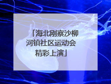 海北刚察沙柳河镇社区运动会精彩上演