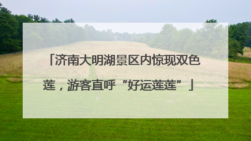 济南大明湖景区内惊现双色莲，游客直呼“好运莲莲”