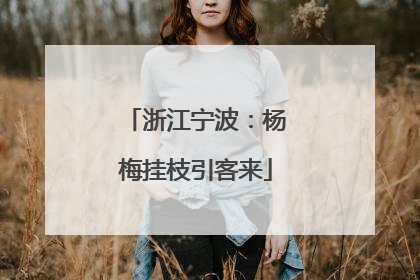 浙江宁波：杨梅挂枝引客来
