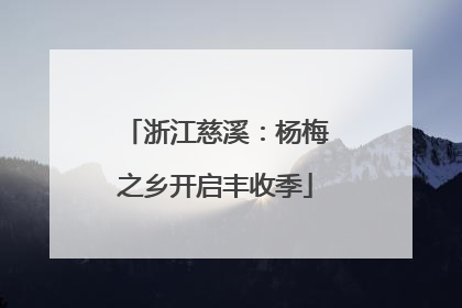 浙江慈溪：杨梅之乡开启丰收季
