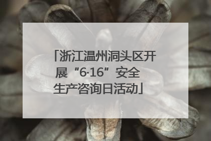 浙江温州洞头区开展“6·16”安全生产咨询日活动