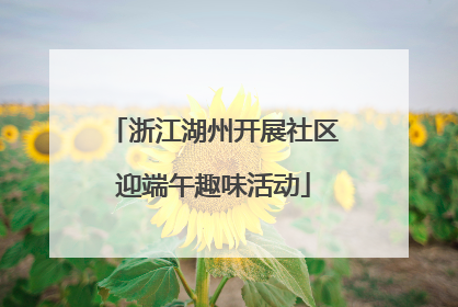 浙江湖州开展社区迎端午趣味活动