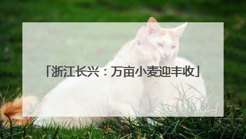 浙江长兴：万亩小麦迎丰收