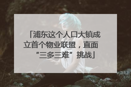浦东这个人口大镇成立首个物业联盟，直面“三多三难”挑战