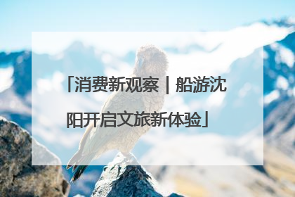 消费新观察｜船游沈阳开启文旅新体验