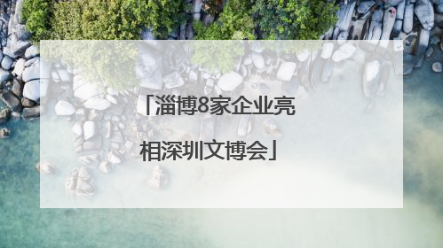 淄博8家企业亮相深圳文博会