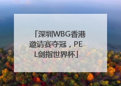 深圳WBG香港邀请赛夺冠，PEL剑指世界杯
