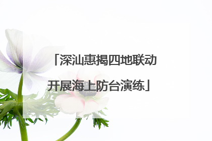 深汕惠揭四地联动开展海上防台演练