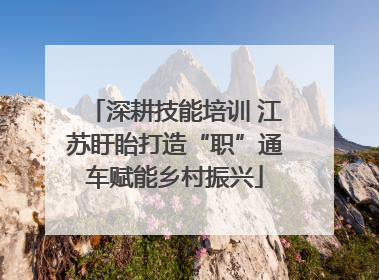 深耕技能培训 江苏盱眙打造“职”通车赋能乡村振兴