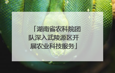湖南省农科院团队深入武陵源区开展农业科技服务