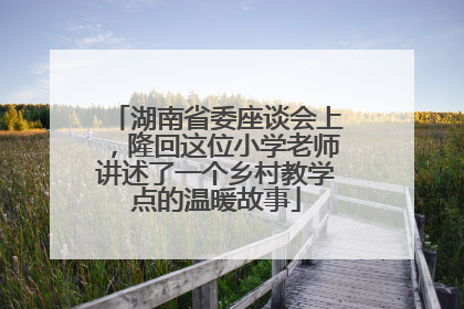 湖南省委座谈会上，隆回这位小学老师讲述了一个乡村教学点的温暖故事