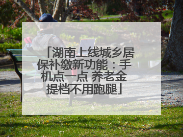 湖南上线城乡居保补缴新功能：手机点一点 养老金提档不用跑腿
