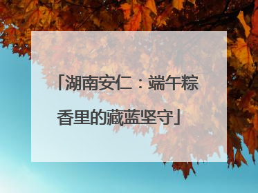 湖南安仁：端午粽香里的藏蓝坚守