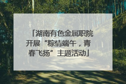 湖南有色金属职院开展“粽情端午，青春飞扬”主题活动