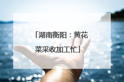 湖南衡阳：黄花菜采收加工忙