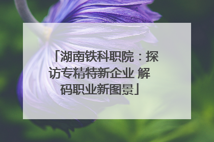 湖南铁科职院：探访专精特新企业 解码职业新图景