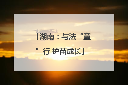 湖南：与法“童”行 护苗成长