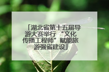 湖北省第十五届导游大赛举行 “文化传播工程师”赋能旅游强省建设
