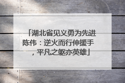 湖北省见义勇为先进陈伟：逆火而行伸援手，平凡之躯亦英雄