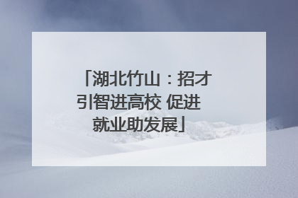 湖北竹山：招才引智进高校 促进就业助发展