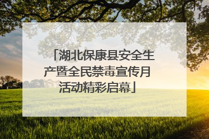 湖北保康县安全生产暨全民禁毒宣传月活动精彩启幕
