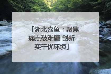 湖北嘉鱼：聚焦痛点破难题 创新实干优环境
