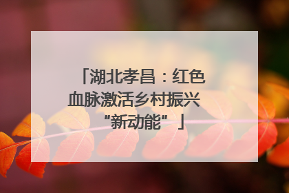 湖北孝昌：红色血脉激活乡村振兴“新动能”