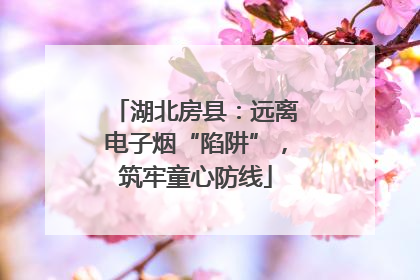 湖北房县：远离电子烟“陷阱”，筑牢童心防线