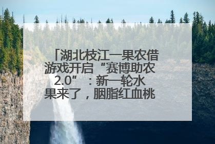 湖北枝江一果农借游戏开启“赛博助农2.0”：新一轮水果来了，胭脂红血桃已预售500单