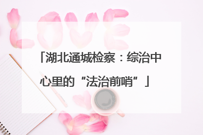 湖北通城检察：综治中心里的“法治前哨”